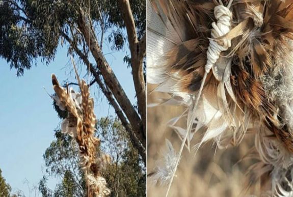 Ez a palesztin terroristák legújabb pánikkeltési módszere