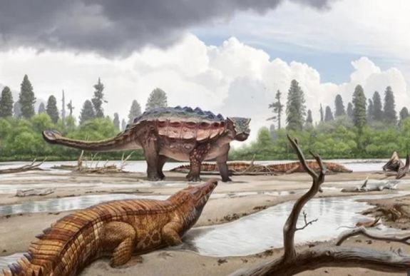 Új dinoszauruszfajt azonosítottak