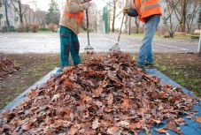 INS: változatlan maradt májusban a munkanélküliségi ráta