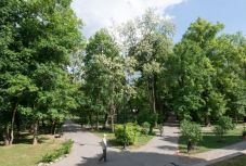 Sepsiszentgyörgyön megszámoltak minden fát