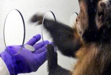 Szász István Szilárd: A pénz hálójában