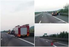 Romániában történt: gazdátlan lovak okoztak balesetet az autópályán