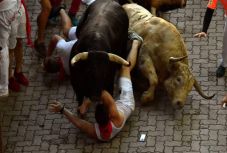 Véget ért a pamplonai bikafuttatás, ennyien sérültek meg