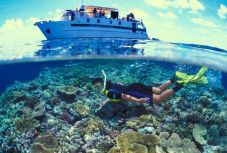 Így mentik meg az egyik legcsodálatosabb természeti örökségünket