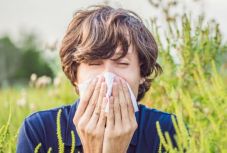 Megjelent a levegőben a parlagfű virágpora