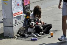 Hazacsábítják a Berlinben élő lengyel hajléktalanokat