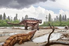 Új dinoszauruszfajt azonosítottak