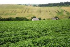 Repülőből is láthatóan üzent a PSD-nek egy Kolozs megyei kertész