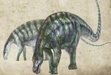 Kínában talált dinoszaurusz írhatja át a földtörténetet