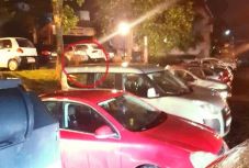 Újabb medve okozott riadalmat Tusványoson egy portál szerint