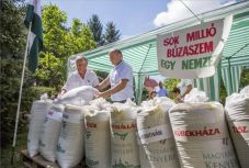 Búzagyűjtő napot tartottak a Magyarok kenyere program keretében