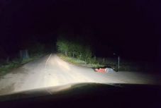 Szokatlan „fekvő rendőrök” lassítják a forgalmat Hargita megyében