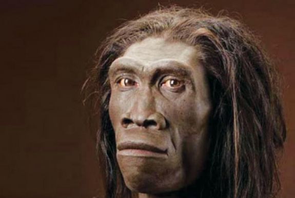A lustaság okozta a Homo erectus vesztét