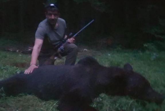 Kilőtték a gyermekvédelmi központba betörő medvét