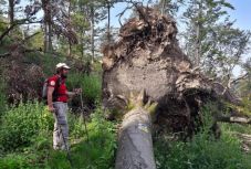 Zárva marad a Menyháza környéki turistautak fele