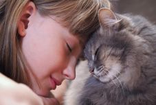 Magyar kutatók vizsgálták, hogyan kommunikál macska és gazdája