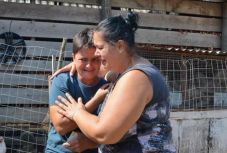 Sertéspestis: három bihari faluban leölték a disznóállományt