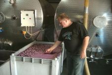 Egy hónappal korábban kezdődött a szüret Arad-Hegyalján – interjú Balla Géza borásszal