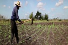 Kustán Magyari Attila: Ne úgy kapálj, az áldóját!