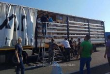 Raktérbe rejtőzve próbáltak átjutni a határon