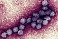 Aggasztó hírt kaptunk Szerbiából