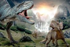 Megfejtették, hogy miért voltak olyan sokfélék a dinoszauruszok