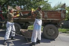 Sertéspestis: fertőzött tetem került Kolozs megyébe, pénzt utaltak ki fertőtlenítésre