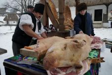 Drágább lesz a hús a sertésvész miatt, hatalmas a kár