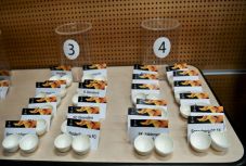 EL: megtudta ellenfeleit a MOL Vidi és az F91 Dudelange