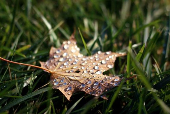 Ilyen időjárással indul a hét