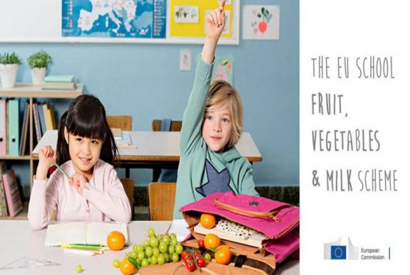 AZ EU idén is támogatja az iskolai gyümölcs-, zöldség- és tejosztást