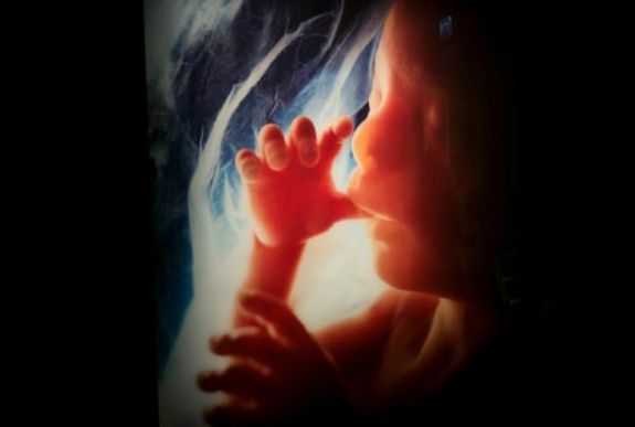 Kormot találtak brit anyák méhlepényében