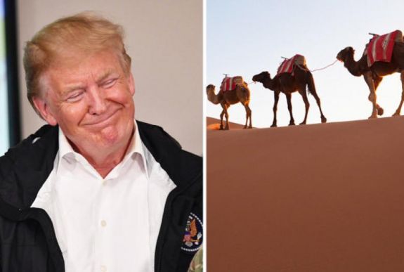 Trump az év legértelmetlenebb javaslatát tette a spanyoloknak