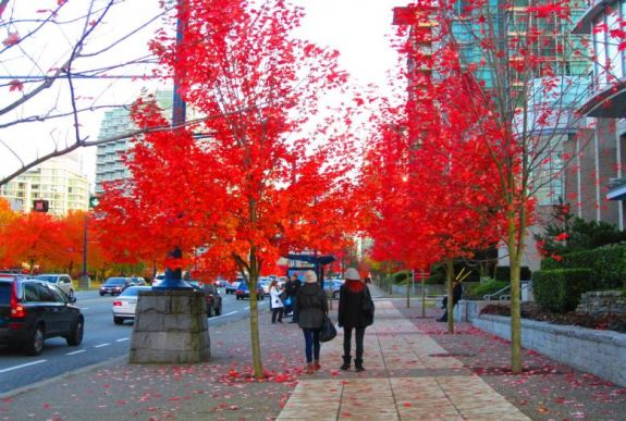 Azért még nem jön a tél: ekkortól várható a felmelegedés Erdélyben