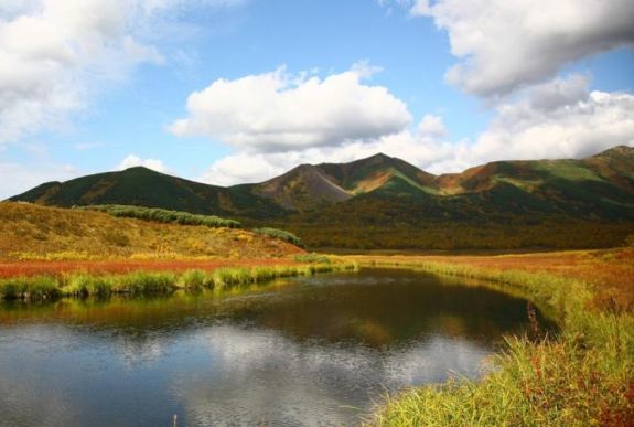 Magasabbra nőnek a növények a tundrán a felmelegedés miatt