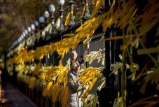 Katalóniában javában dúl a „sárga szalagok háborúja” 