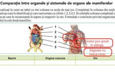 Rossz hír a tanévkezdésre: hibáktól hemzsegnek az iskolai tankönyvek