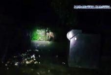 Hulladéktárolóba esett medvebocsot szabadítottak ki Tusnádfürdőn