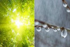 Ilyen lesz az időjárás a következő két hétben