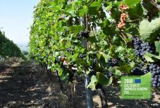 Kincsesládánk, Erdély Szilágyságban: a kémeri királyleánykától a zsibai legényesig