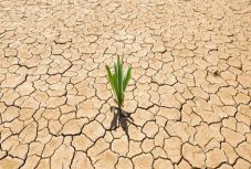 Szász István Szilárd: Hiedelmeink csatái