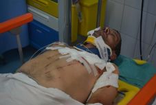 Kilövik a medvét, amelyik az elmúlt évek legsúlyosabb sérüléseit okozta 