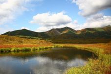 Magasabbra nőnek a növények a tundrán a felmelegedés miatt
