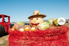 Jókedvű gazdanapokat tartottak Csíkszéken