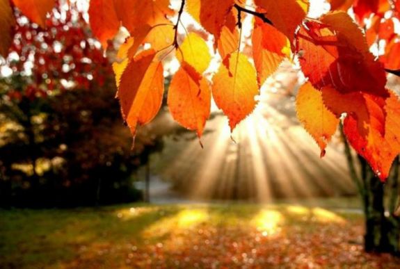 Jó hírrel szolgálnak a kirándulni vágyóknak az időjósok