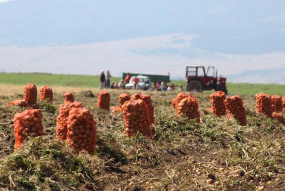 Ekkortól utalják az előleget a támogatást kérelmező gazdáknak