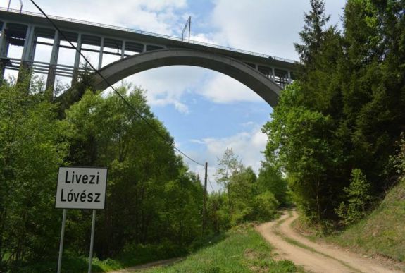 Három medvét gázolt el a vonat Hargita megyében