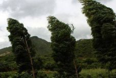 Szél fújja el a vasárnapi pihenést Dél-Nyugat Romániában