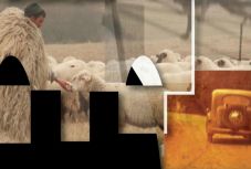 Friss helyi dokumentumfilmeket vetítenek Székelyföld-szerte