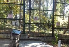 Bârladon történt: szelfizni akartak az állatkerti medvével, megtörtént a baj